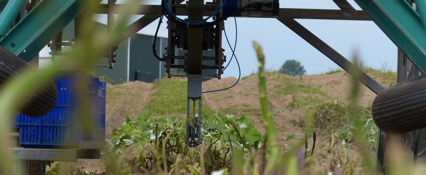 HepcoMotion - Harvesting robots could make green asparagus cheaper